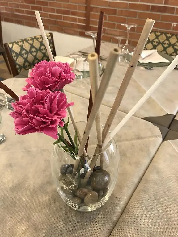 מונטה קטיני טרמה Hotel Butterfly